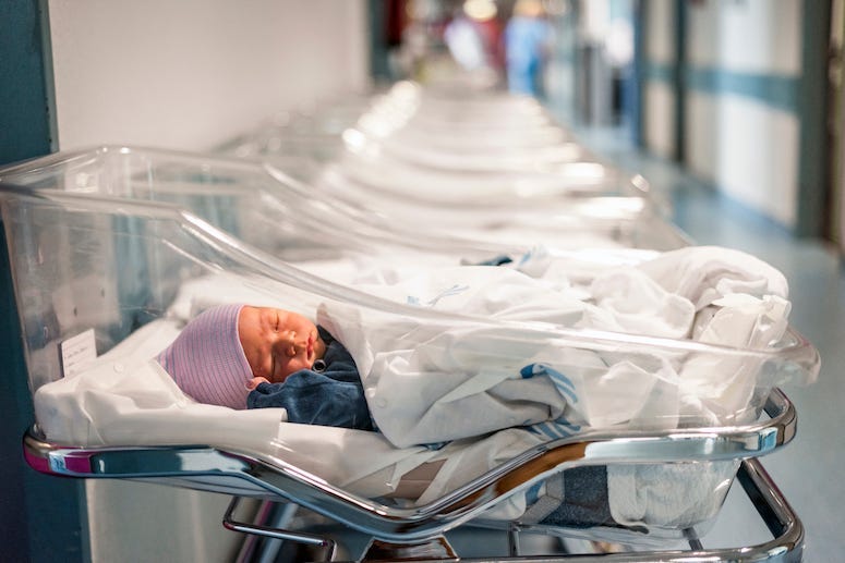 Newborns, Babies, Hospital