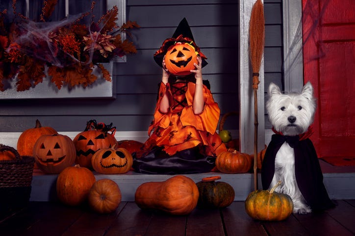Halloween Costumes