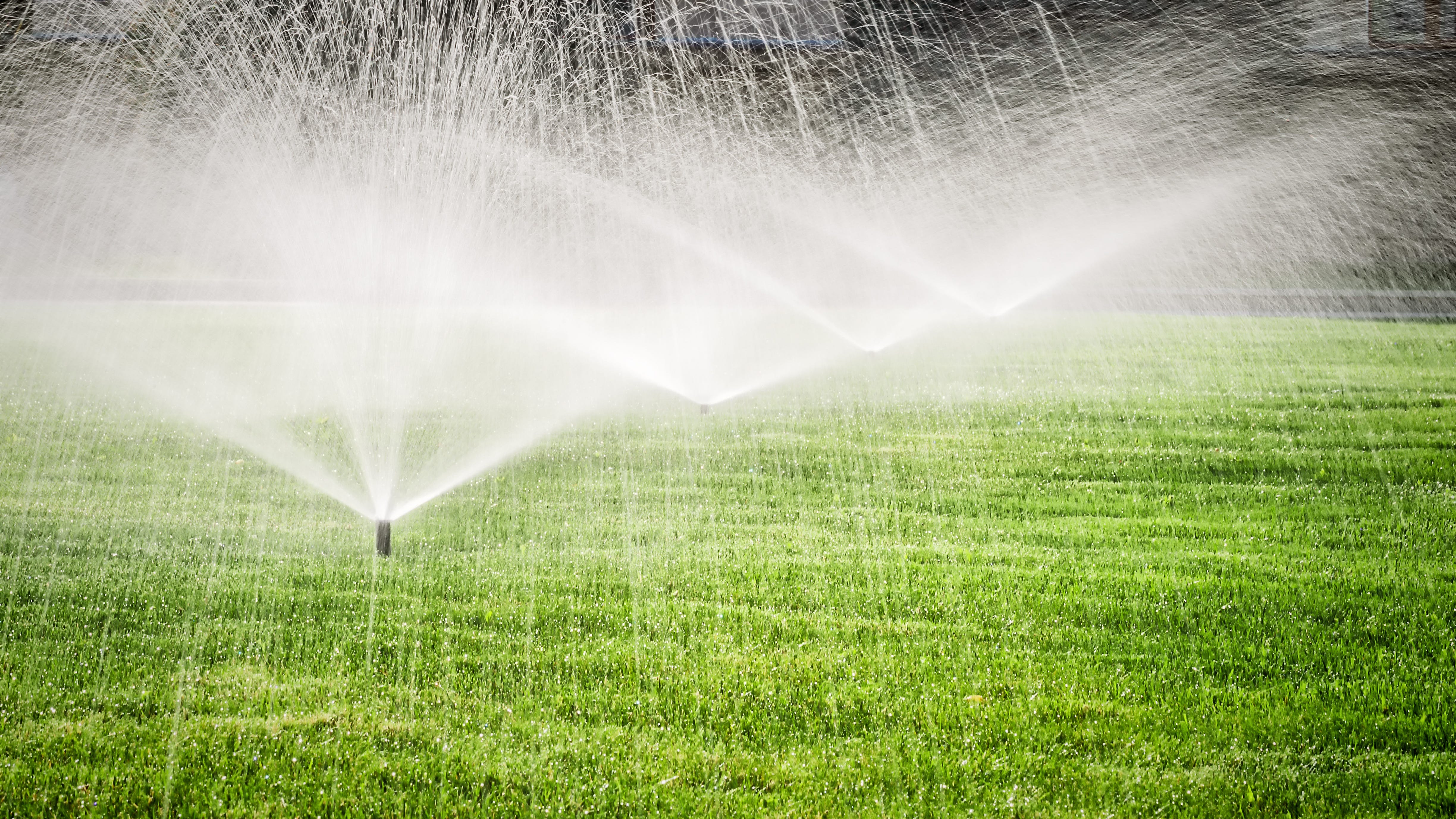 How one woman is flushing crime from her neighborhood!