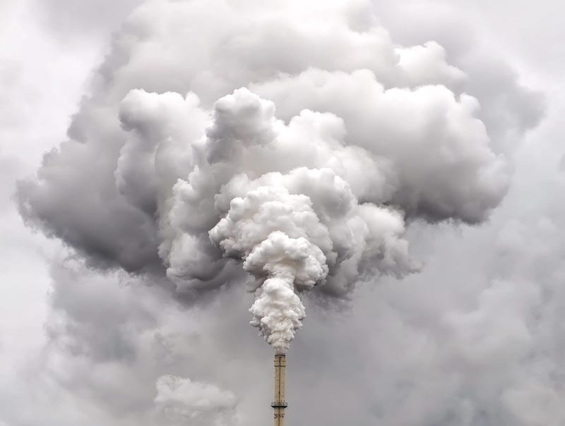 Edwards: Net zero carbon emission by 2050
