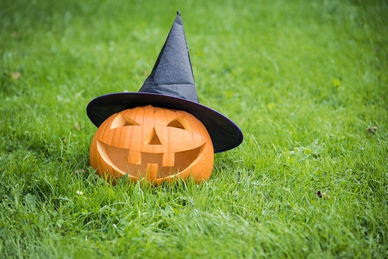 Halloween, Pumpkin, Lawn, Witch Hat, Jack-O-Lantern