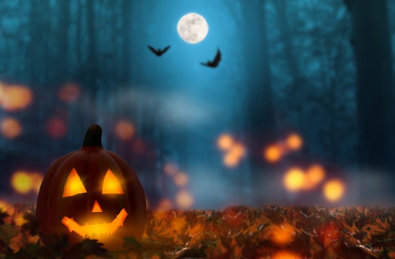 Halloween, Night, Outdoors, Jack-O-Lantern, Forest, Spooky