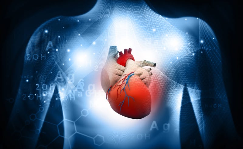 heart-disease-GettyImages-1035980904.jpg
