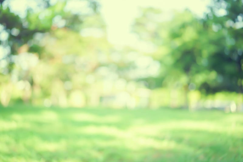 springtime-GettyImages-1041155610.jpg