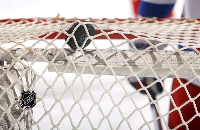 NHL hockey puck
