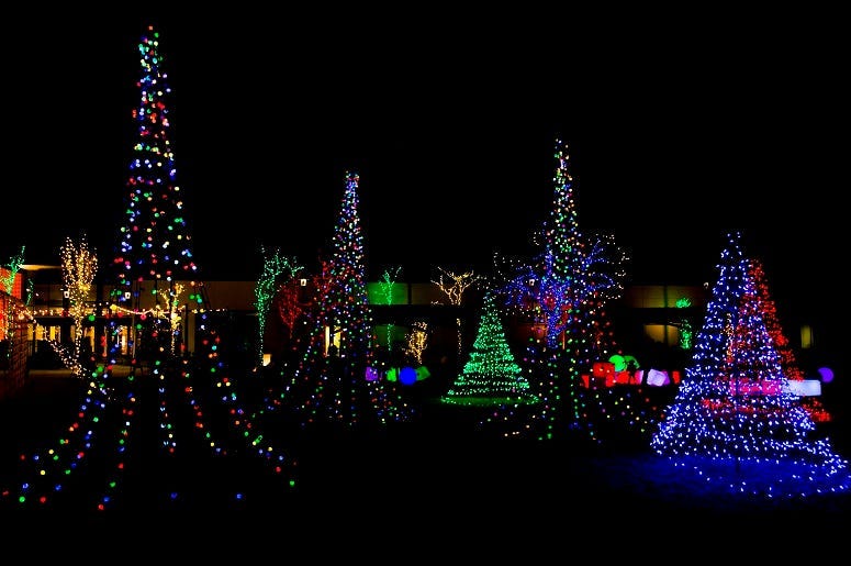 Lewis Ginter Lights