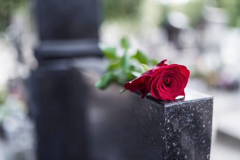 rose on a grave