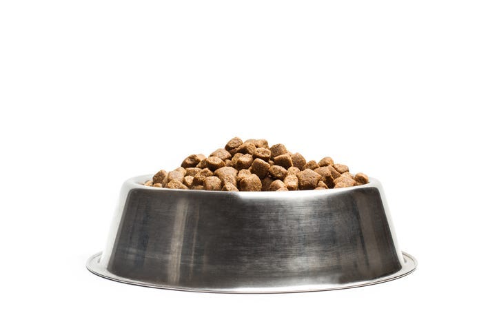 dog food