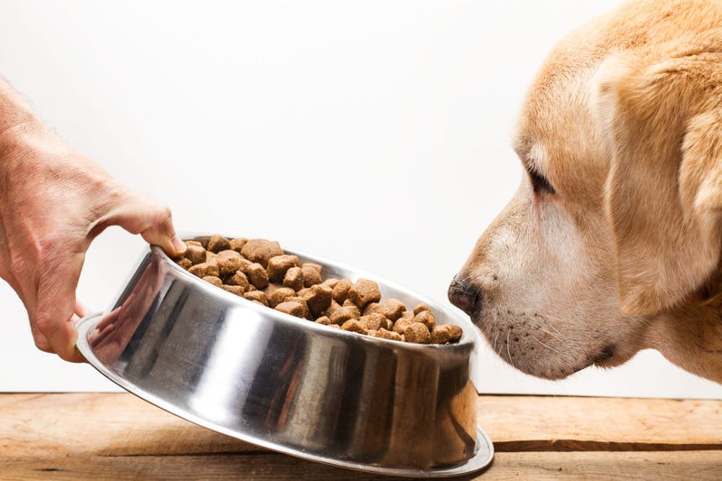Dog Food