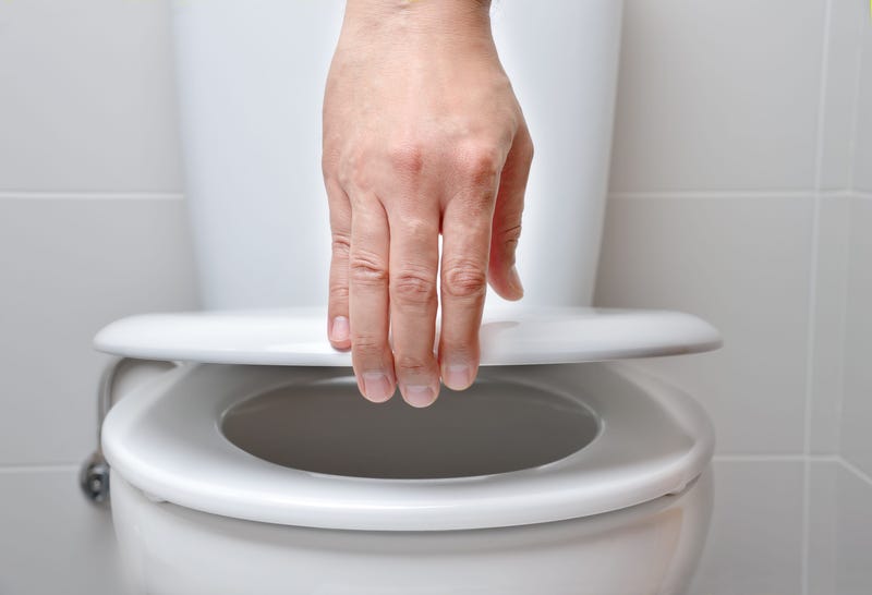 toilet