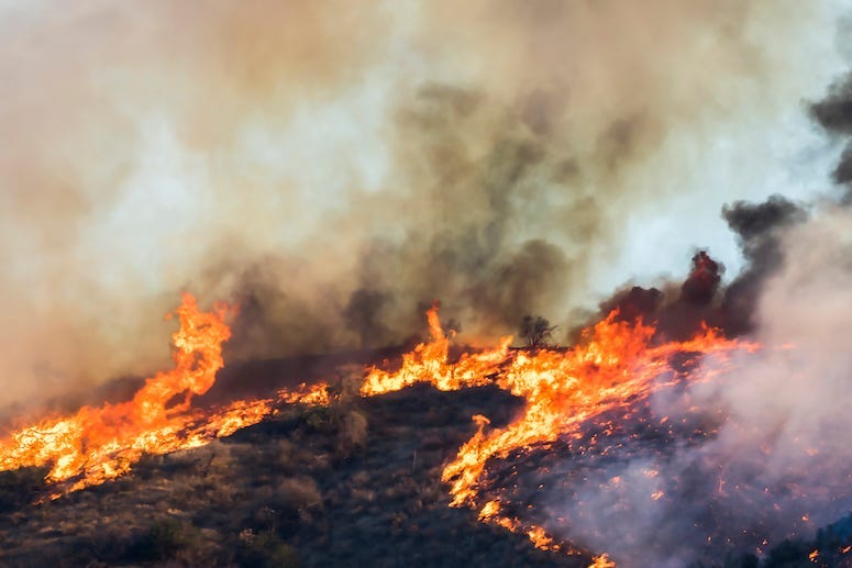 California, Wildfire, Fire