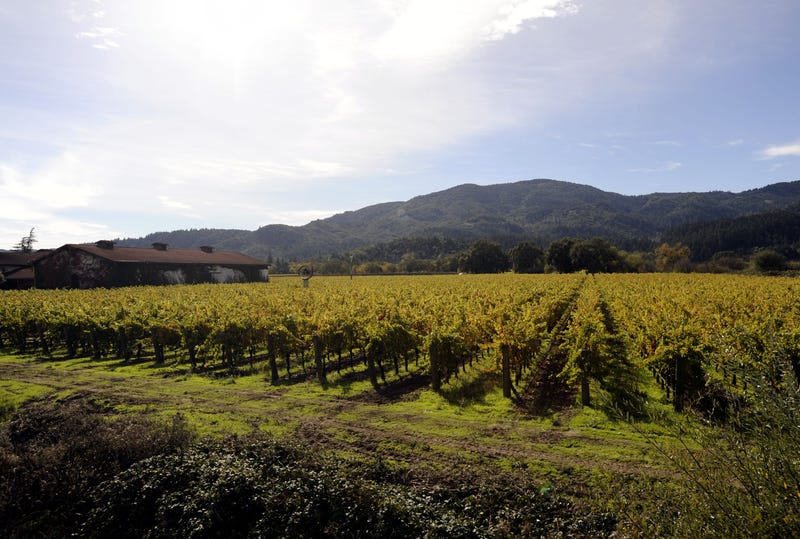 Atmosphere on the Napa Valley Wine Train at Aloft Hotels Presents Live in the Vineyard on November 13, 2010 in Napa, California.