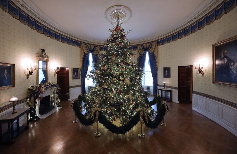 At 18 feet tall, the official White House Christmas is dressed in over 500 feet of blue velvet ribbon embroidered in gold with each state and territory, on display inside the Blue Room at the White House Nov. 26, 2018 in Washington, D.C. 