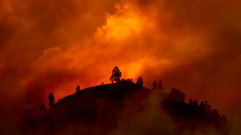 Fire, Wildfire, California, Hill, Trees