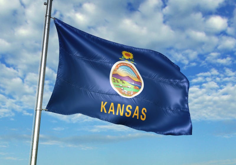 Kansas flag