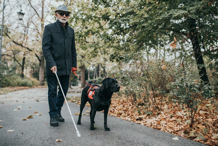 Mature blind man with dog
