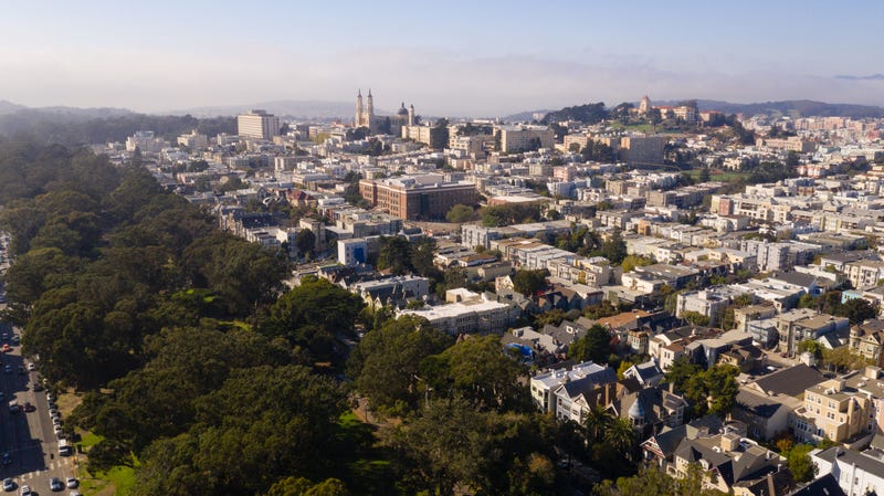 The Panhandle at the end of Golden Gate Park in San Francisco. 