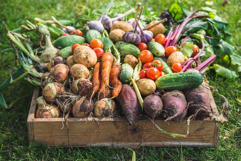 Farmers Market