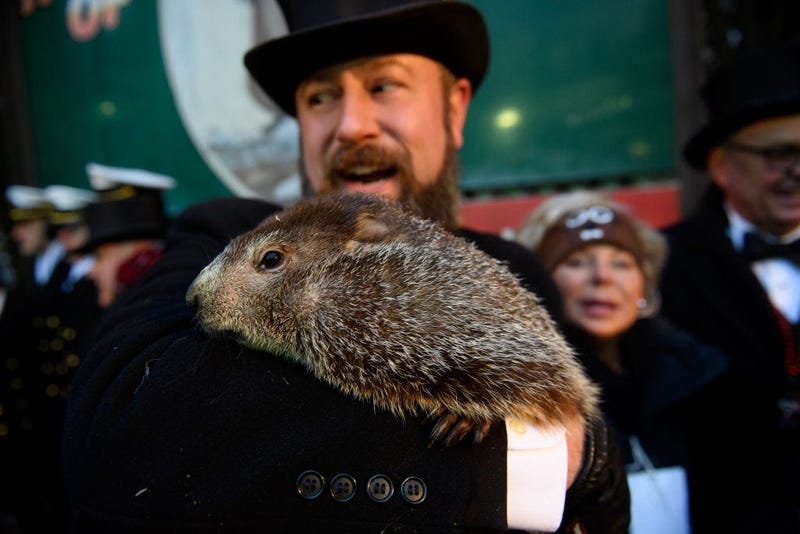 AJ Dereume holds Punxsutawney Phil after he did not see his shadow predicting an early spring during the 133rd annual Groundhog Day festivities on February 2, 2019 in Punxsutawney, 