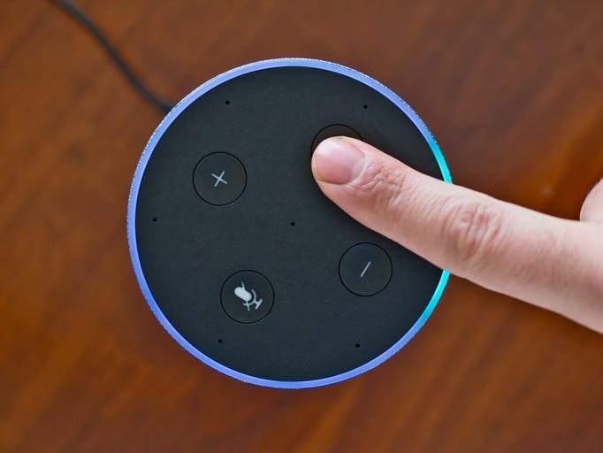 voice assistant