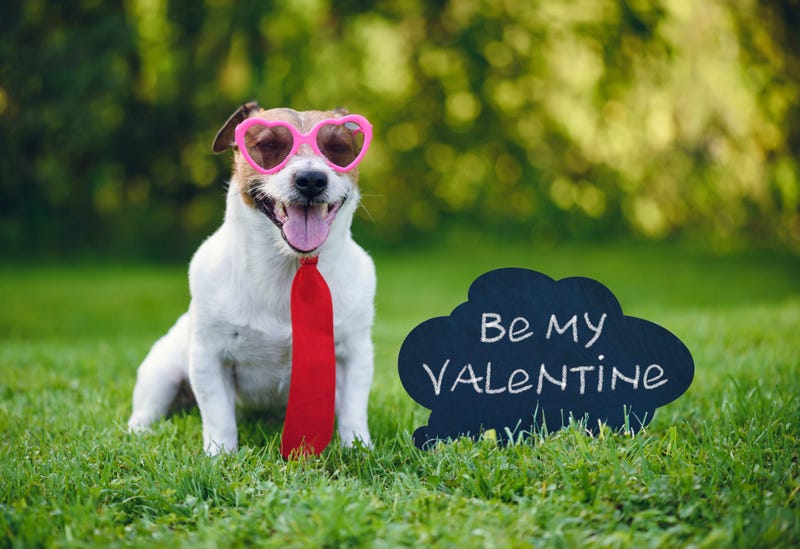 Puppy Valentine