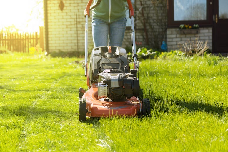 Mowing Grass, Lawnmower, Yard, House, Backyard, Mowing