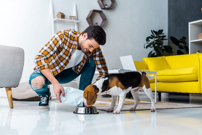 man feeding cute dog in living room at home