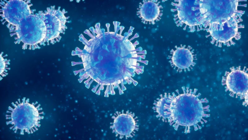 virus