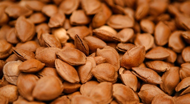Apricot Seeds
