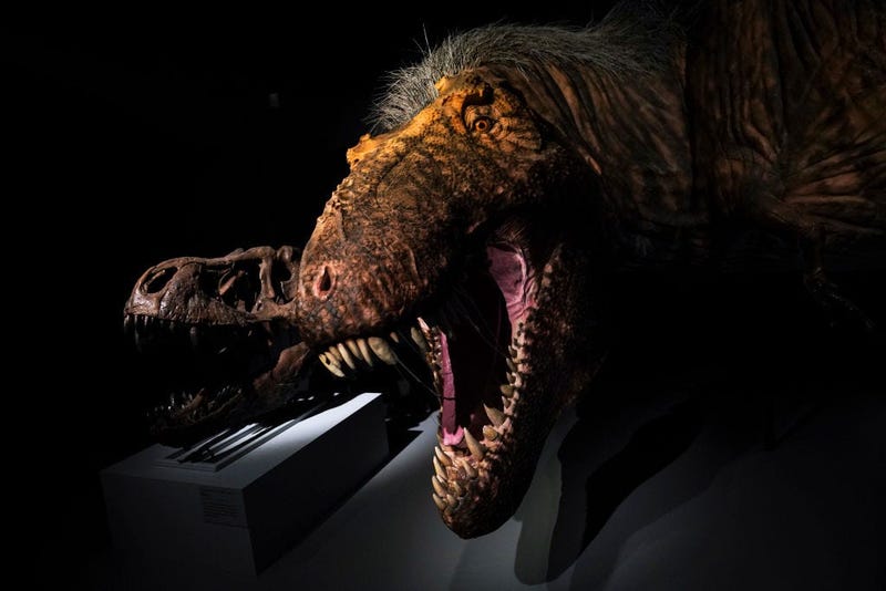 t.rex