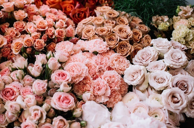 Shopping For Your Valentine