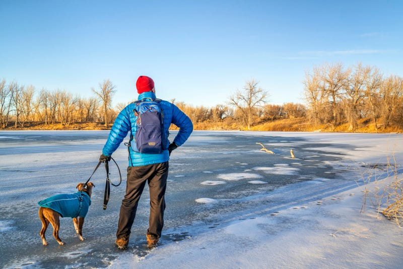 Dog on ice