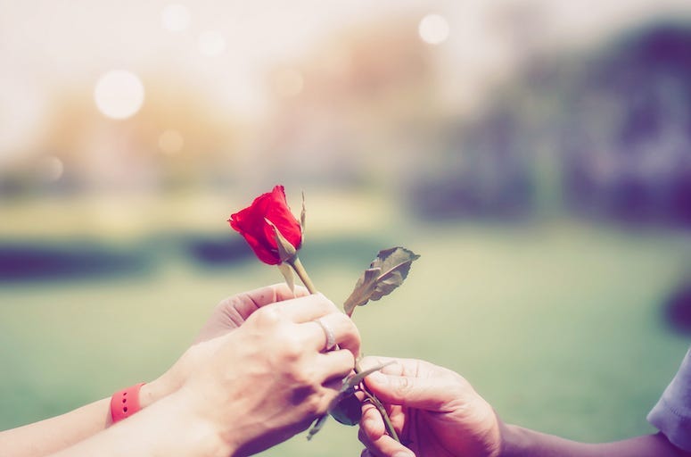 Man Handing Rose To Woman, Rose, Flower, Valentine's Day