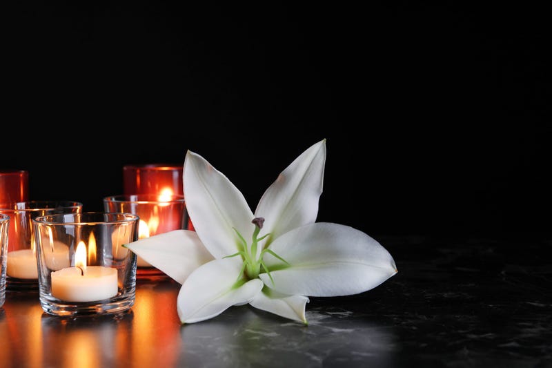 Japanese Peace Lilly 