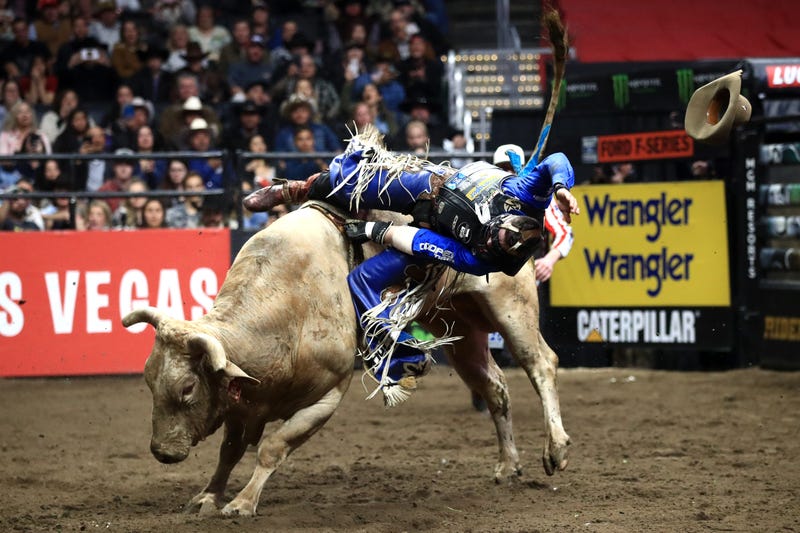 Houston Rodeo