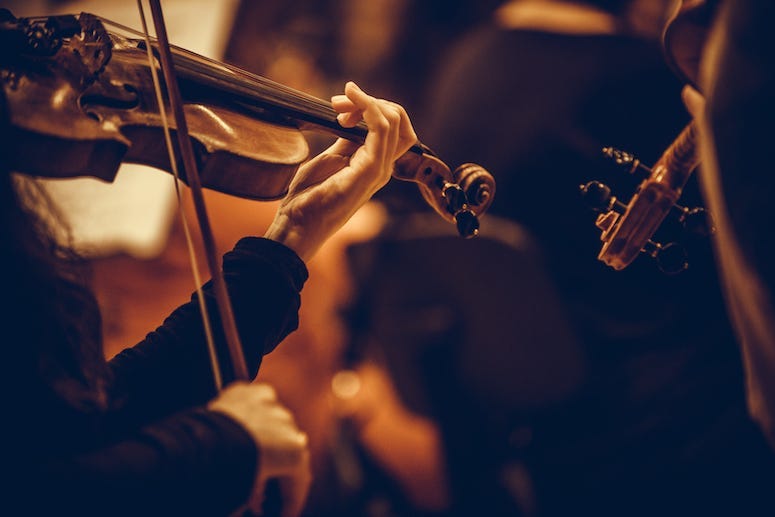 Woman, Performing, Violin, Violinist