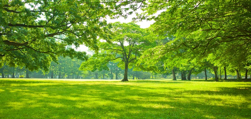 park