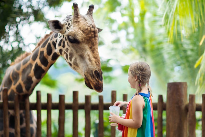 Zoos