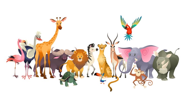 Zoo