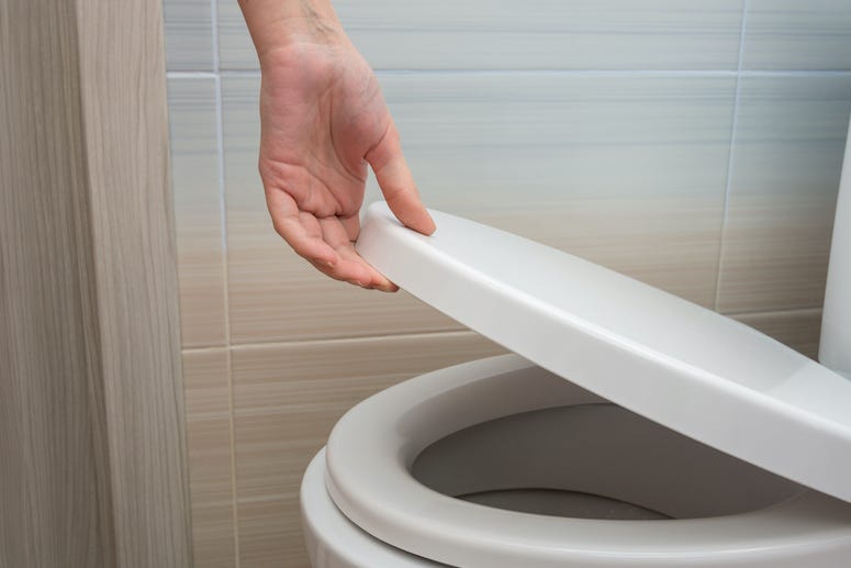 Hand, Lifting Toilet Seat, Toilet, Bathroom