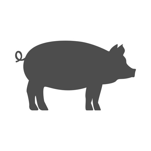 pig