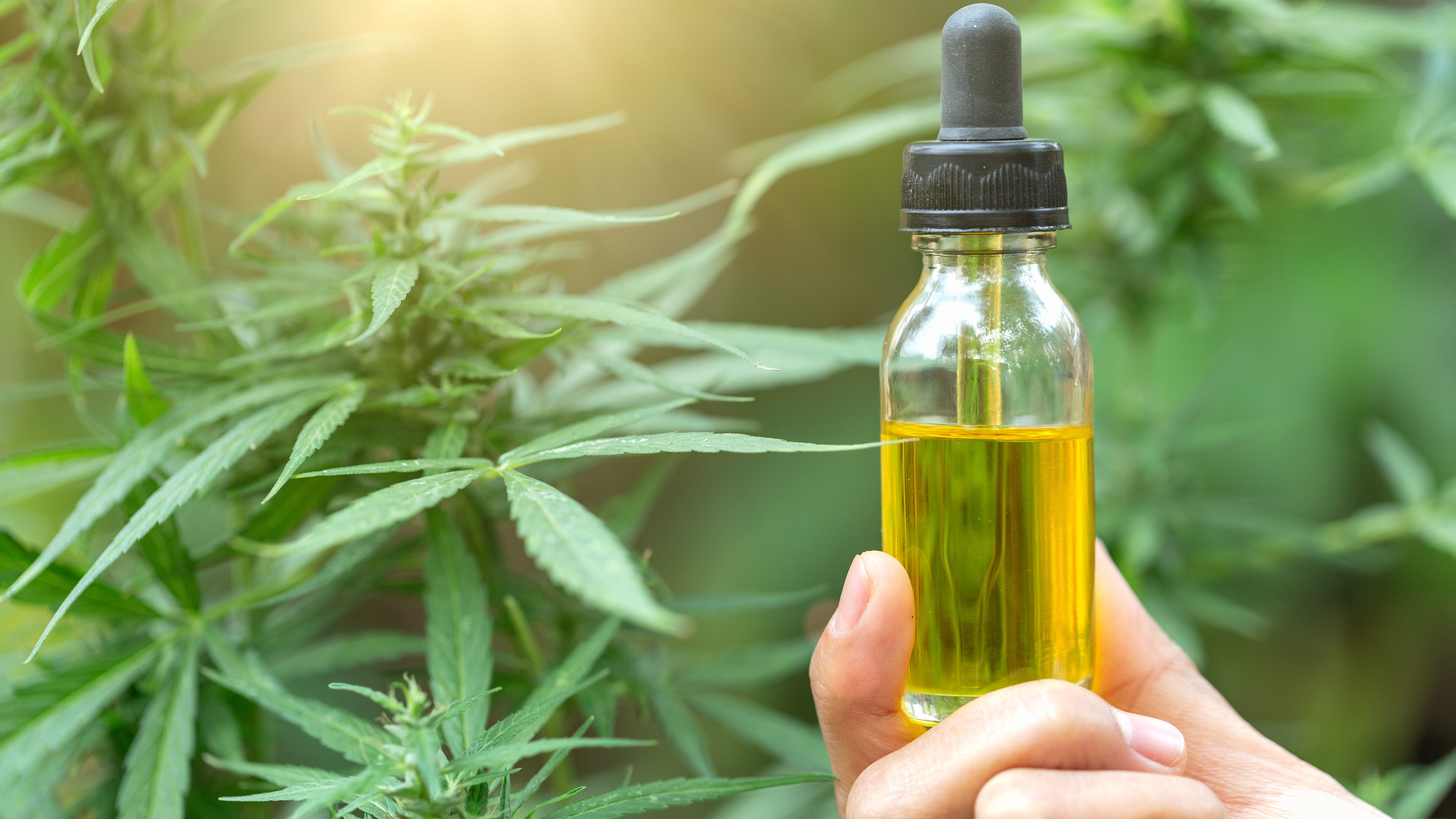 Dispensary Trying To Open Up Next To Drug Treatment Center