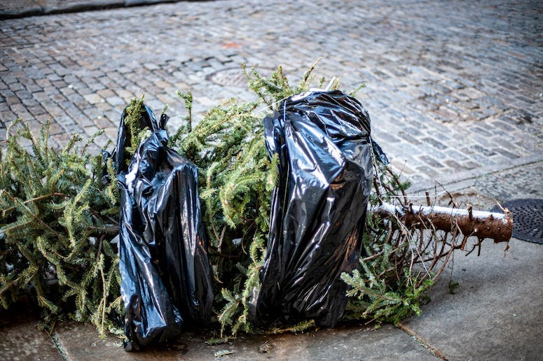 Christmas Tree, Trash, Street, Garbage Bag