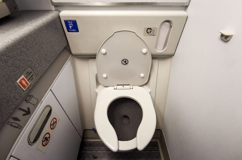 Airplane, Toilet Seat, Lavatory, Bathroom
