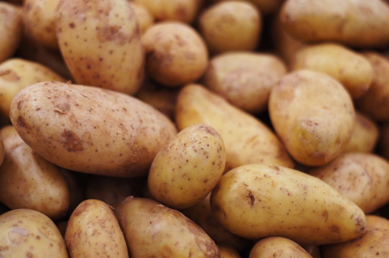 potato