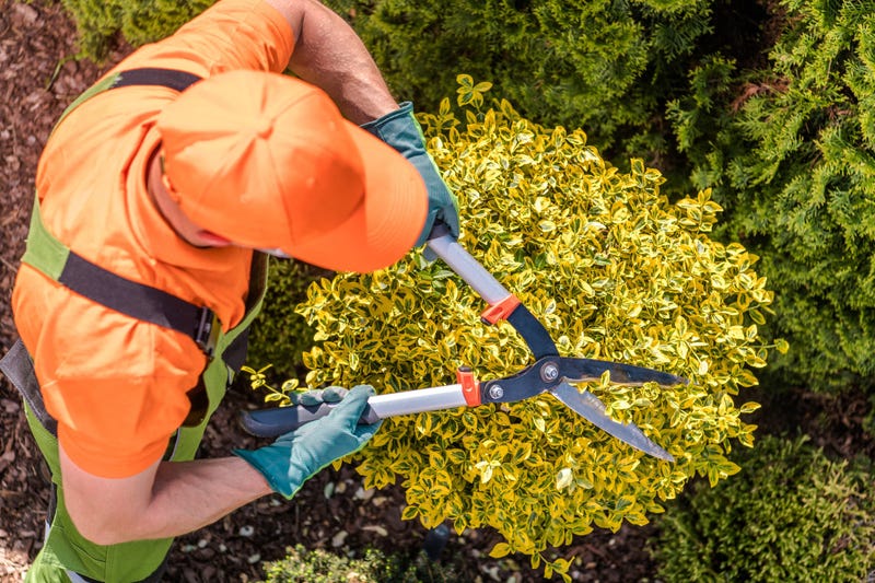 Yardworks Landscaping