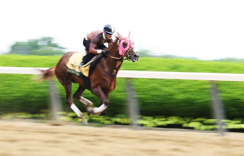 In Belmont Stakes, don't pass on Japan's Master Fencer.