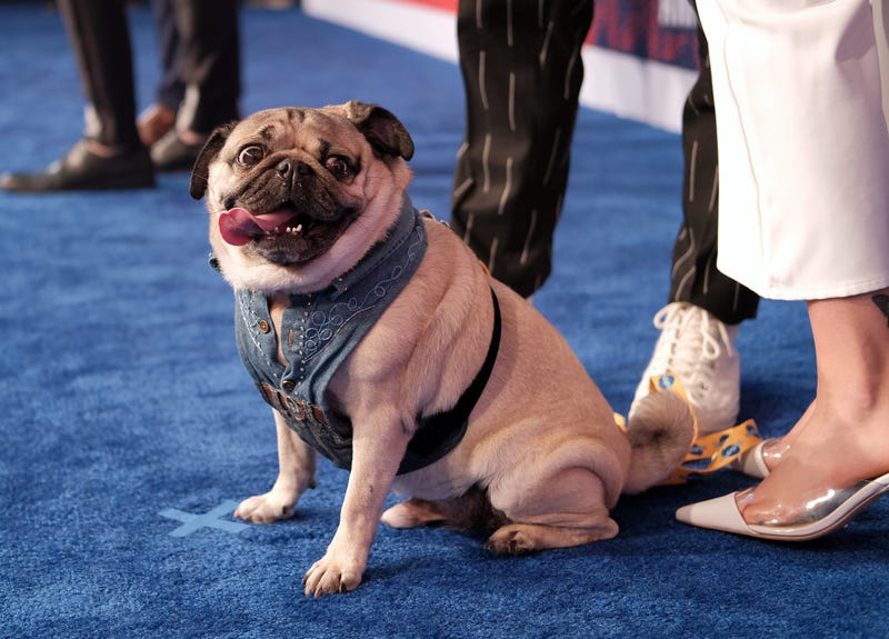 Photo by Jason Kempin/Getty Images