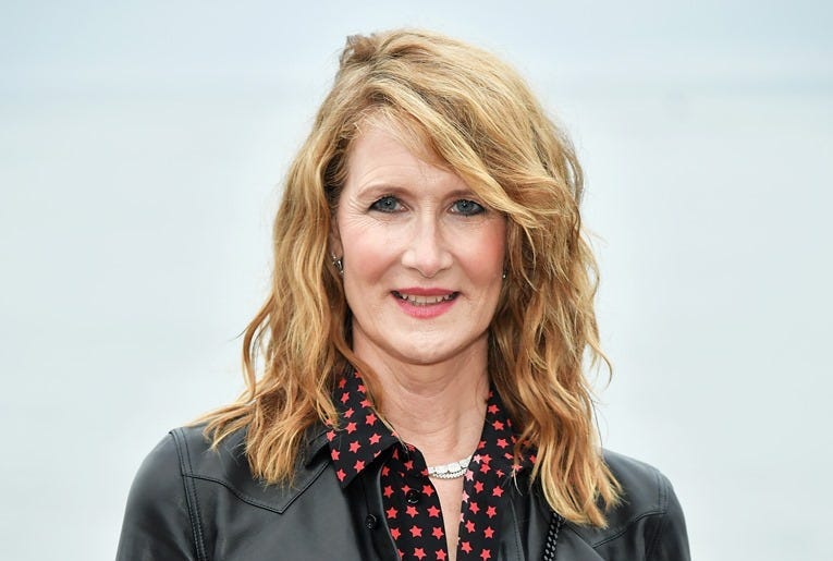  Laura Dern attends the Saint Laurent Mens Spring Summer 20 Show on June 06, 2019 in Paradise Cove Malibu, California.