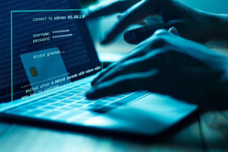 Cyberfraud